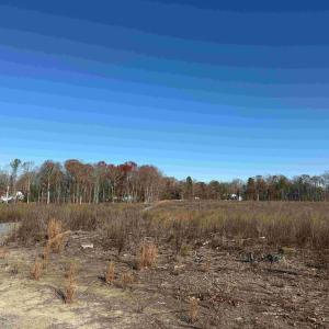 Photo #15 of WINNSVILLE DRIVE (TRACT: TANAGER ET2 2021), BREMO BLUFF, VA 159.0 acres