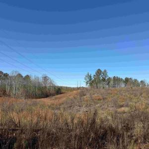 Photo #7 of WINNSVILLE DRIVE (TRACT: TANAGER ET2 2021), BREMO BLUFF, VA 159.0 acres