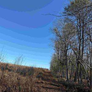 Photo #8 of WINNSVILLE DRIVE (TRACT: TANAGER ET2 2021), BREMO BLUFF, VA 159.0 acres