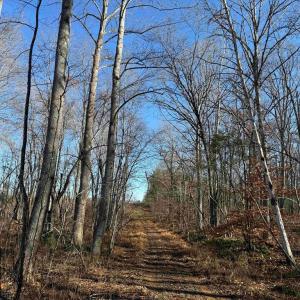 Photo #11 of WINNSVILLE DRIVE (TRACT: TANAGER ET2 2021), BREMO BLUFF, VA 159.0 acres