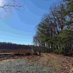 Photo #18 of WINNSVILLE DRIVE (TRACT: TANAGER ET2 2021), BREMO BLUFF, VA 159.0 acres