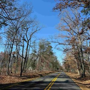 Photo #16 of WINNSVILLE DRIVE (TRACT: TANAGER ET2 2021), BREMO BLUFF, VA 159.0 acres