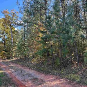 Photo #1 of OFF OF SHORES ROAD (TRACT: TANAGER ET2 2020), SCOTTSVILLE, VA 153.1 acres