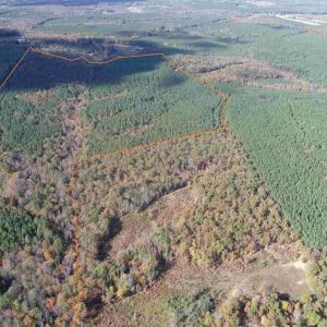 Photo #11 of OFF OF SHORES ROAD (TRACT: TANAGER ET2 2020), SCOTTSVILLE, VA 153.1 acres