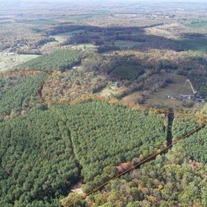 Photo #5 of OFF OF SHORES ROAD (TRACT: TANAGER ET2 2020), SCOTTSVILLE, VA 153.1 acres