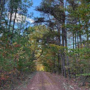 Photo #7 of OFF OF SHORES ROAD (TRACT: TANAGER ET2 2020), SCOTTSVILLE, VA 153.1 acres