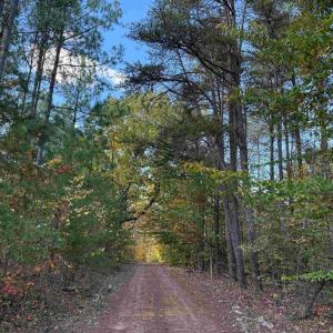 Photo #9 of OFF OF SHORES ROAD (TRACT: TANAGER ET2 2020), SCOTTSVILLE, VA 153.1 acres