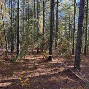 Photo #10 of OFF OF SHORES ROAD (TRACT: TANAGER ET2 2020), SCOTTSVILLE, VA 153.1 acres