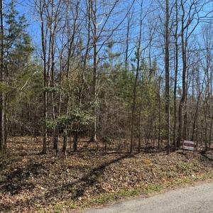 Photo #5 of 4325 GENTRY LN, BUMPASS, VA 3.5 acres