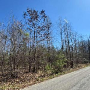 Photo #3 of 4325 GENTRY LN, BUMPASS, VA 3.5 acres