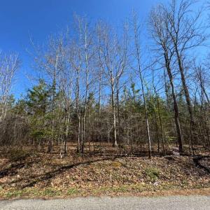 Photo #4 of 4325 GENTRY LN, BUMPASS, VA 3.5 acres