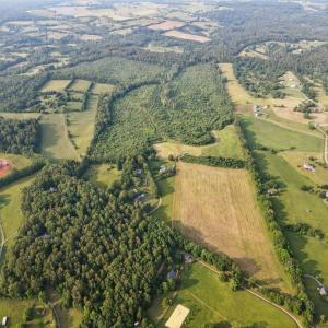 Photo #6 of 0 LAWSON LANE 22-19C, CULPEPER, VA 56.5 acres