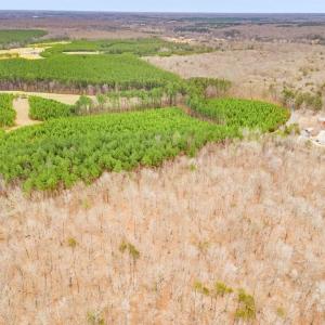 Photo #18 of DRAGOON RD, CULPEPER, VA 3.0 acres