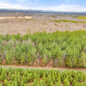 Photo #28 of DRAGOON RD, CULPEPER, VA 3.0 acres