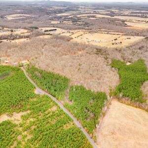Photo #11 of DRAGOON LOT 2 RD, CULPEPER, VA 3.0 acres