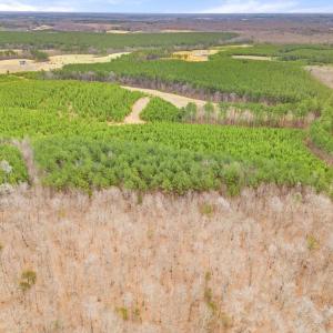 Photo #19 of DRAGOON LOT 2 RD, CULPEPER, VA 3.0 acres