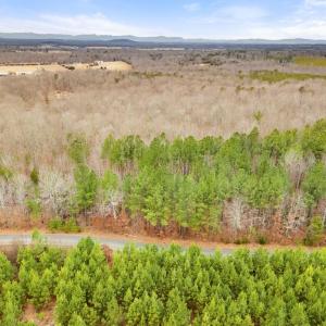 Photo #29 of DRAGOON LOT 2 RD, CULPEPER, VA 3.0 acres