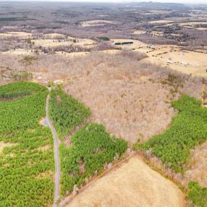 Photo #12 of SAMS RIDGE, CULPEPER, VA 3.0 acres