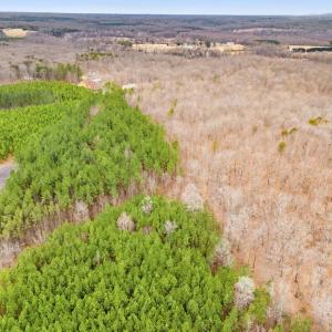 Photo #16 of SAMS RIDGE, CULPEPER, VA 3.0 acres