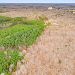 Photo #17 of SAMS RIDGE, CULPEPER, VA 3.0 acres