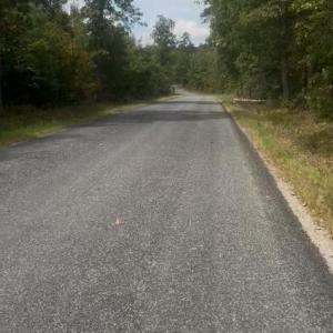 Photo #1 of LOG CABIN, BEAVERDAM, VA 19.2 acres