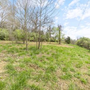 Photo #15 of LAKESIDE DR, CHARLOTTESVILLE, VA 3.8 acres