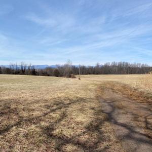 Photo #3 of WHITES FARM LN, CULPEPER, VA 46.3 acres