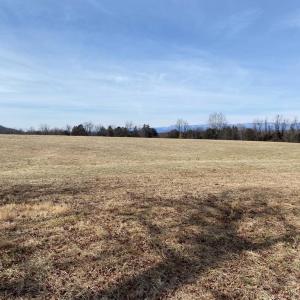 Photo #2 of WHITES FARM LN, CULPEPER, VA 46.3 acres