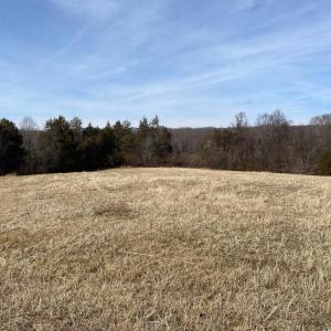 Photo #9 of 19197 WHITES FARM LN, CULPEPER, VA 46.3 acres