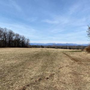 Photo #3 of 19197 WHITES FARM LN, CULPEPER, VA 46.3 acres