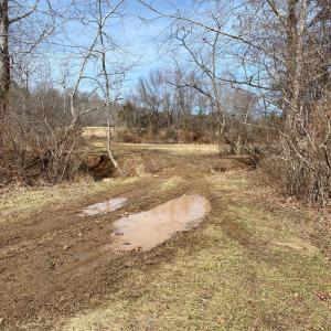 Photo #12 of 19197 WHITES FARM LN, CULPEPER, VA 46.3 acres