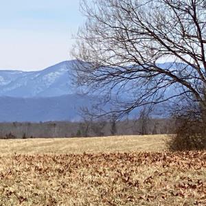 Photo #9 of KIRTLEY TRL, CULPEPER, VA 46.3 acres