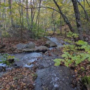 Photo #1 of PERRY LANE, LOVINGSTON, VA 5.0 acres