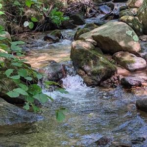 Photo #5 of PERRY LANE, LOVINGSTON, VA 5.0 acres