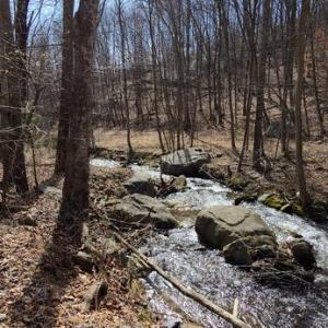 Photo #10 of PERRY LANE, LOVINGSTON, VA 5.0 acres