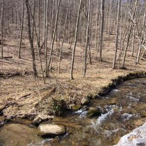 Photo #11 of PERRY LANE, LOVINGSTON, VA 5.0 acres