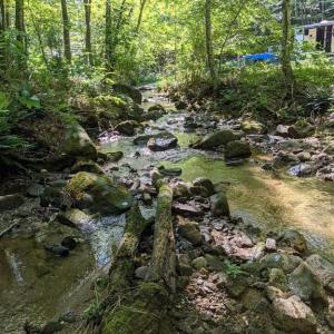 Photo #7 of PERRY LANE, LOVINGSTON, VA 5.0 acres