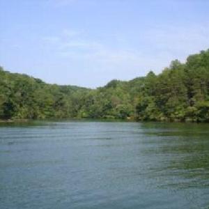 View from Lake back to shoreline of cove