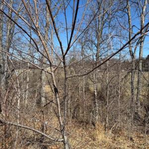 Photo #2 of COLONEL JAMESON BLVD, CULPEPER, VA 1.1 acres