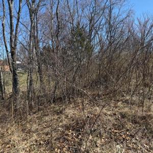 Photo #3 of COLONEL JAMESON BLVD, CULPEPER, VA 1.1 acres