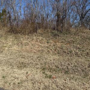 Photo #4 of COLONEL JAMESON BLVD, CULPEPER, VA 1.1 acres