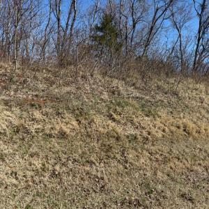 Photo #1 of COLONEL JAMESON BLVD, CULPEPER, VA 1.1 acres