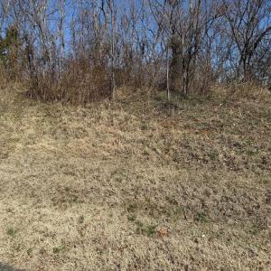 Photo #3 of COLONEL JAMESON BLVD, CULPEPER, VA 0.6 acres