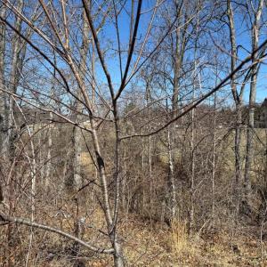 Photo #1 of COLONEL JAMESON BLVD, CULPEPER, VA 0.6 acres