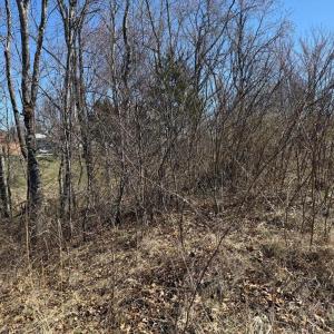 Photo #2 of COLONEL JAMESON BLVD, CULPEPER, VA 0.6 acres