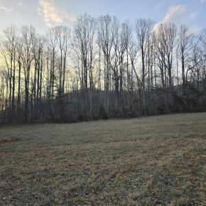Photo #4 of THOROUGHFARE RD, CULPEPER, VA 3.7 acres