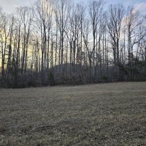 Photo #5 of THOROUGHFARE RD, CULPEPER, VA 3.7 acres