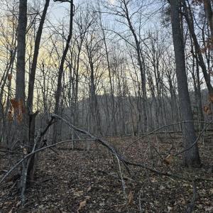 Photo #6 of THOROUGHFARE RD, CULPEPER, VA 3.7 acres