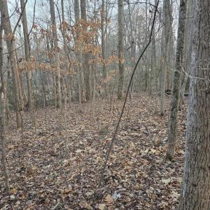 Photo #8 of THOROUGHFARE RD, CULPEPER, VA 3.7 acres