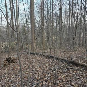 Photo #9 of THOROUGHFARE RD, CULPEPER, VA 3.7 acres